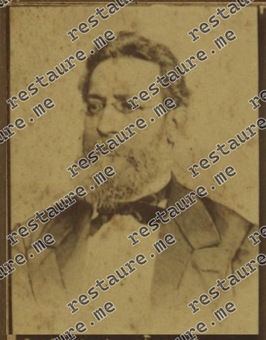 Gaspar da Silveira Martins