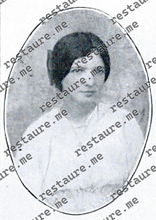 Virginia de Araújo