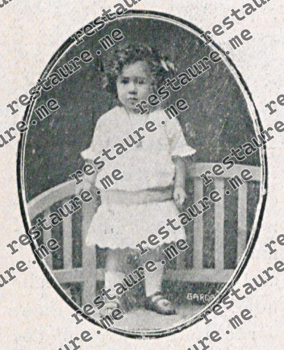 Maria de Lourdes de Araújo