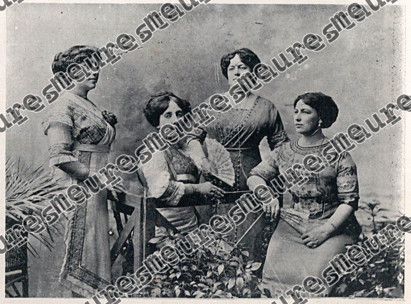 Amélia da Silveira