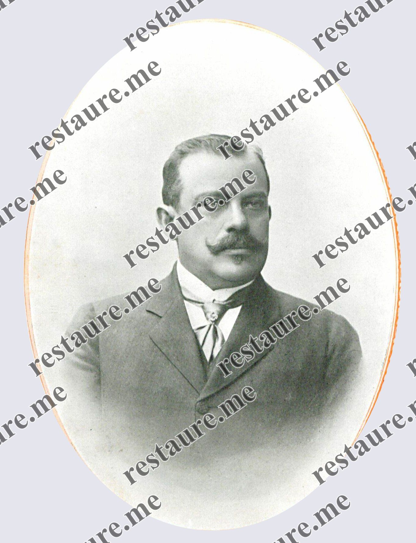Henrique Toledo Dodsworth