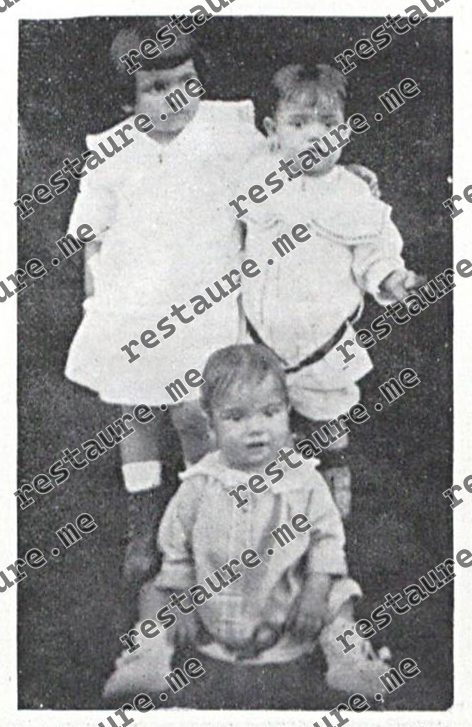 Aulio Coelho Da Motta