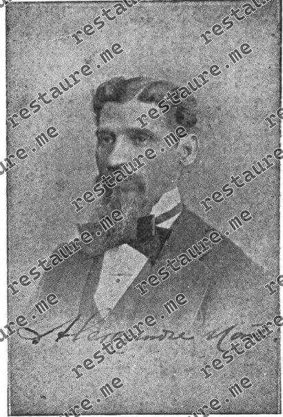 Alexandre M Monteiro