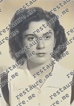 Terezinha Pacheco