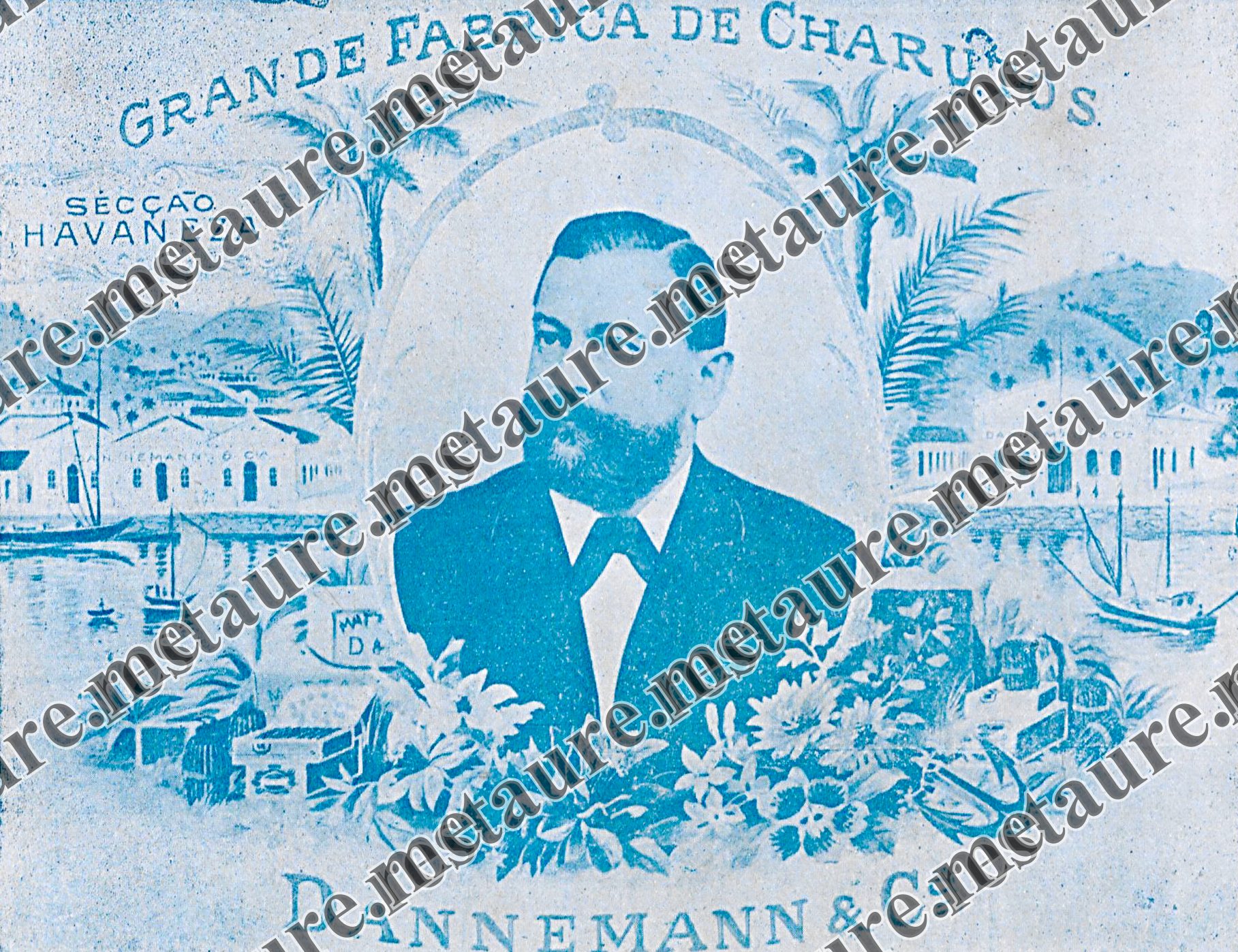 Gerhard Dannemann