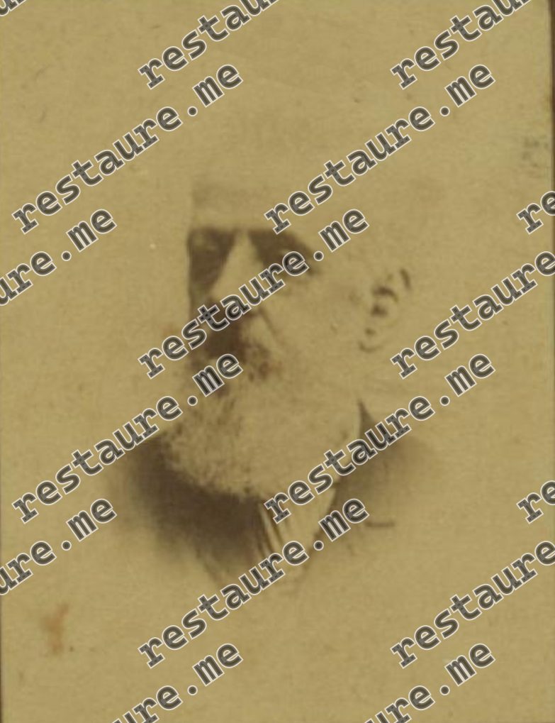 Manuel Velloso Paranhos Pederneiras