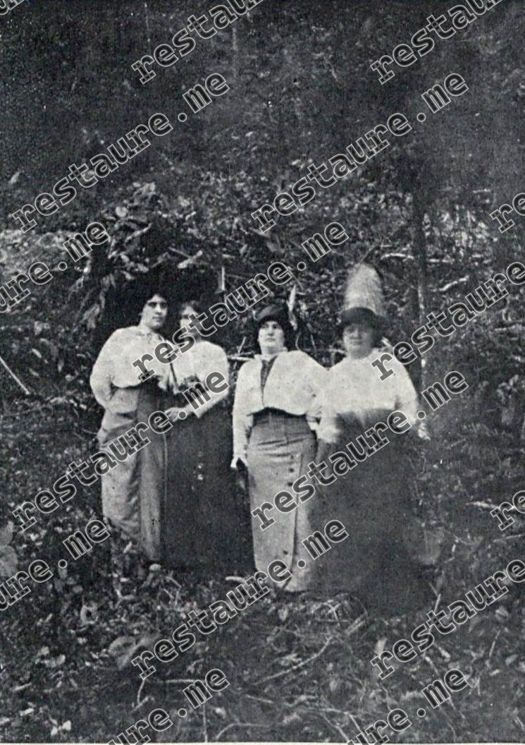 Sophia Freitas Aiello