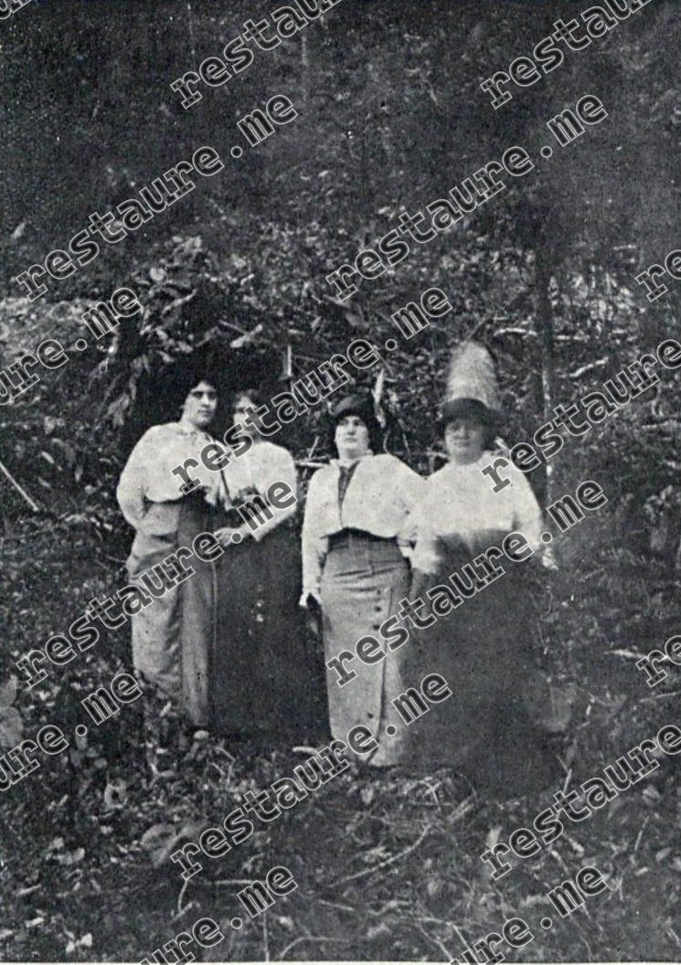 Amélia Aiello
