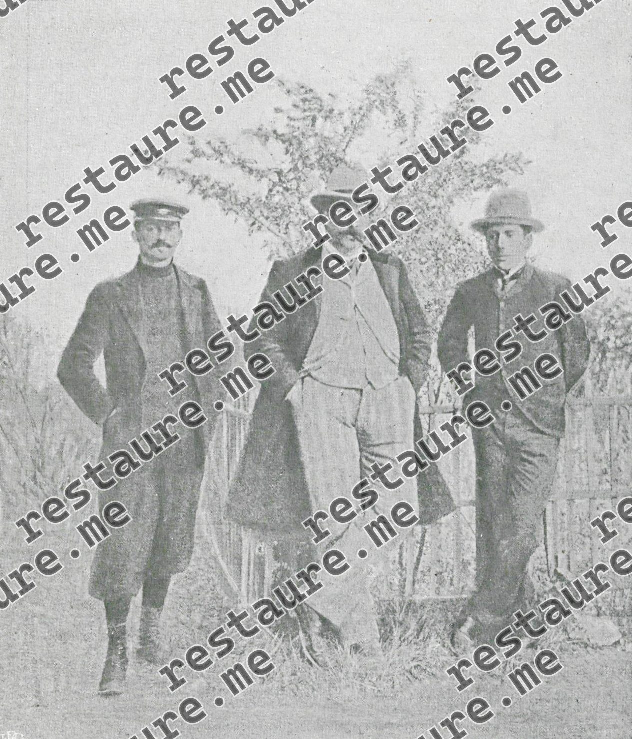 Alvaro P Reis