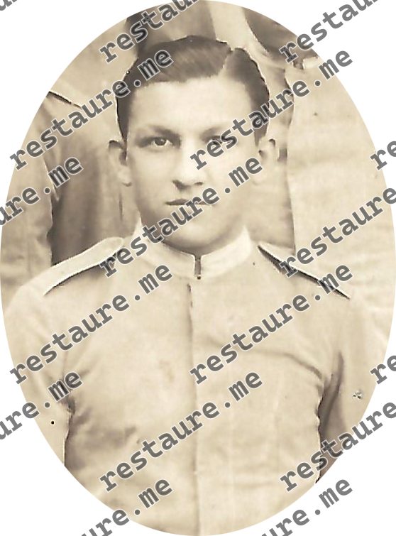 Arimo Regatiere