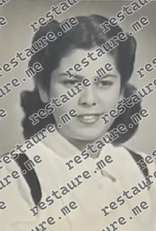 Maria Teresa Nogueira