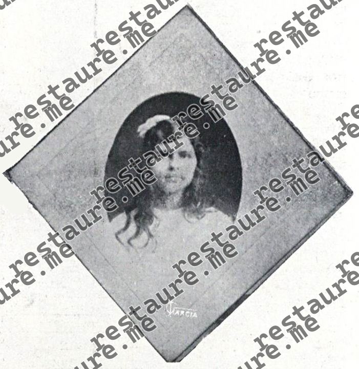 Arminda Nóra