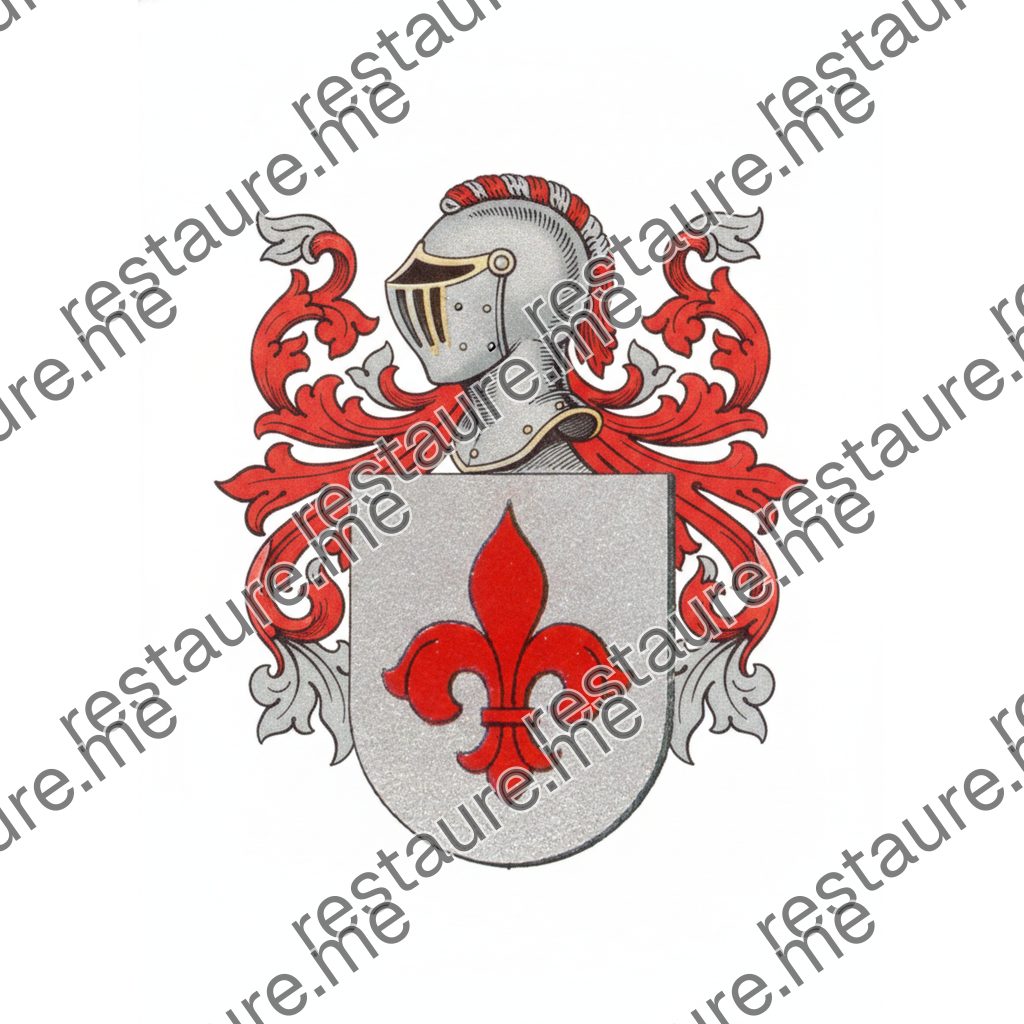 Brasão da família BUBALDE