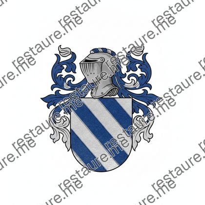 Brasão da família VREA