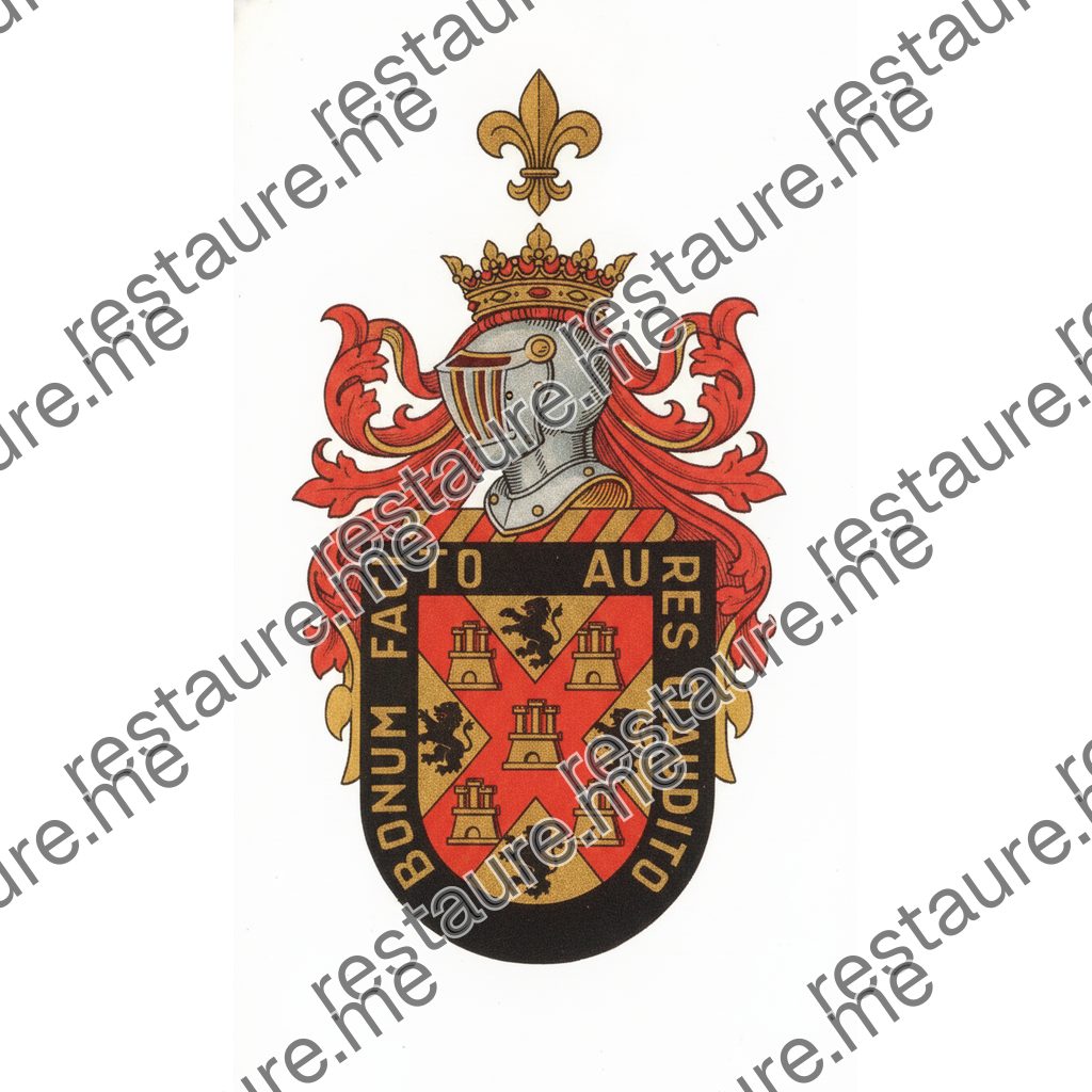Brasão da família BURNAY