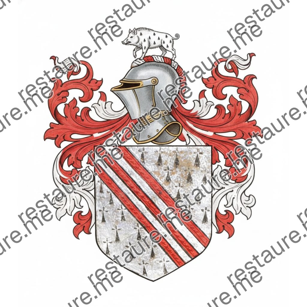 Brasão da família CHACIM