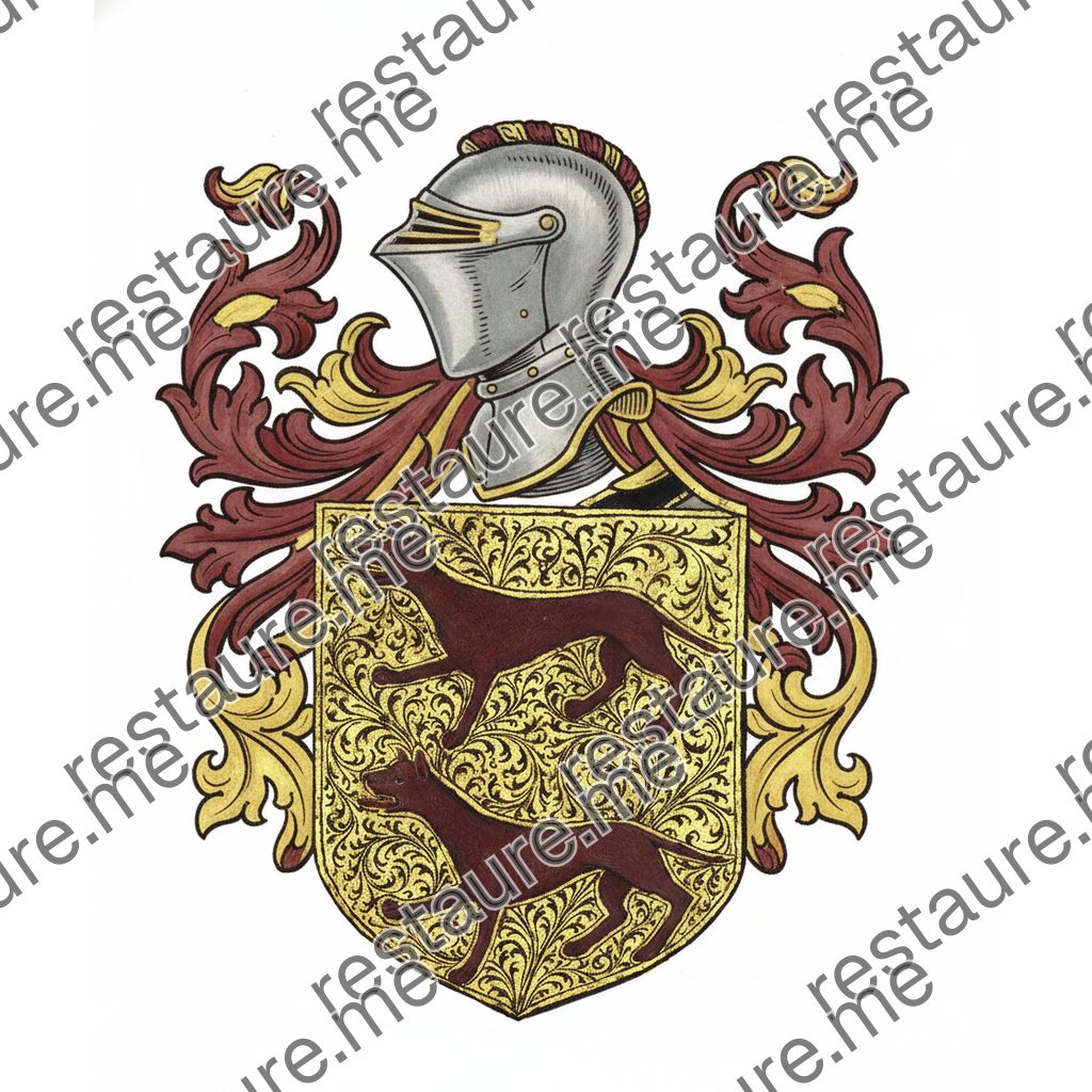 Brasão da família VILA LOBOS (1404)