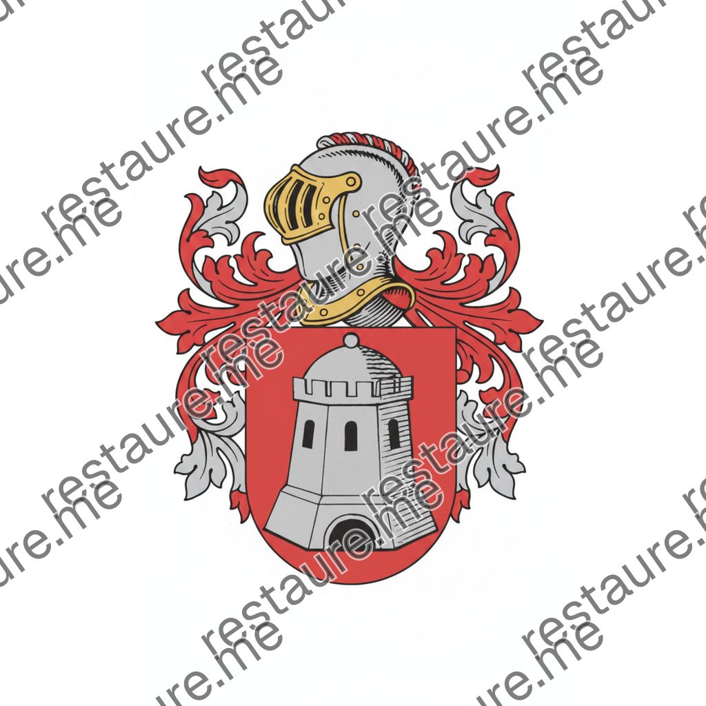 Brasão da Família Braga