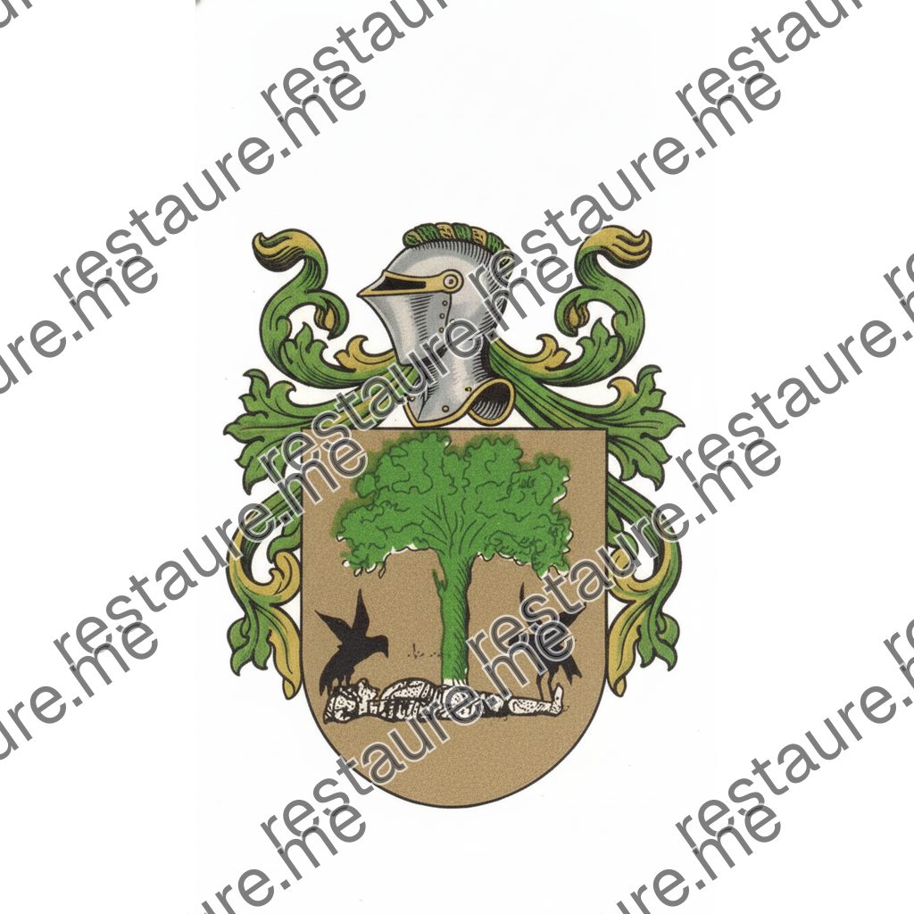Brasão da família BARREGOSO