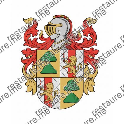 Brasão da família VISEU