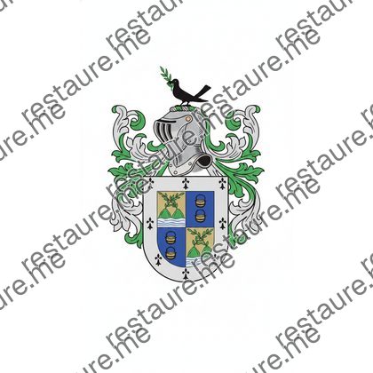 Brasão da família VIVEIROS