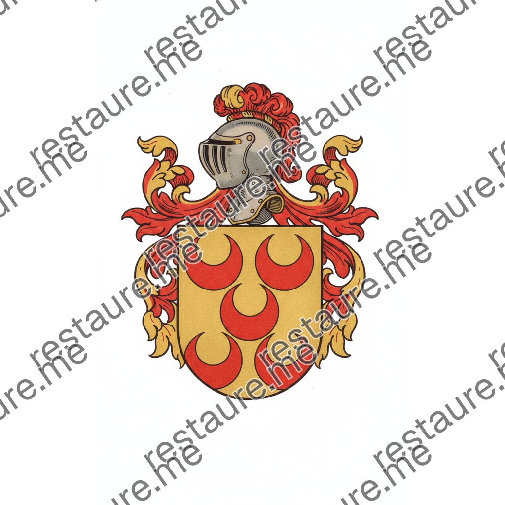 Brasão da Família Bragança (de Fernão Mendes)