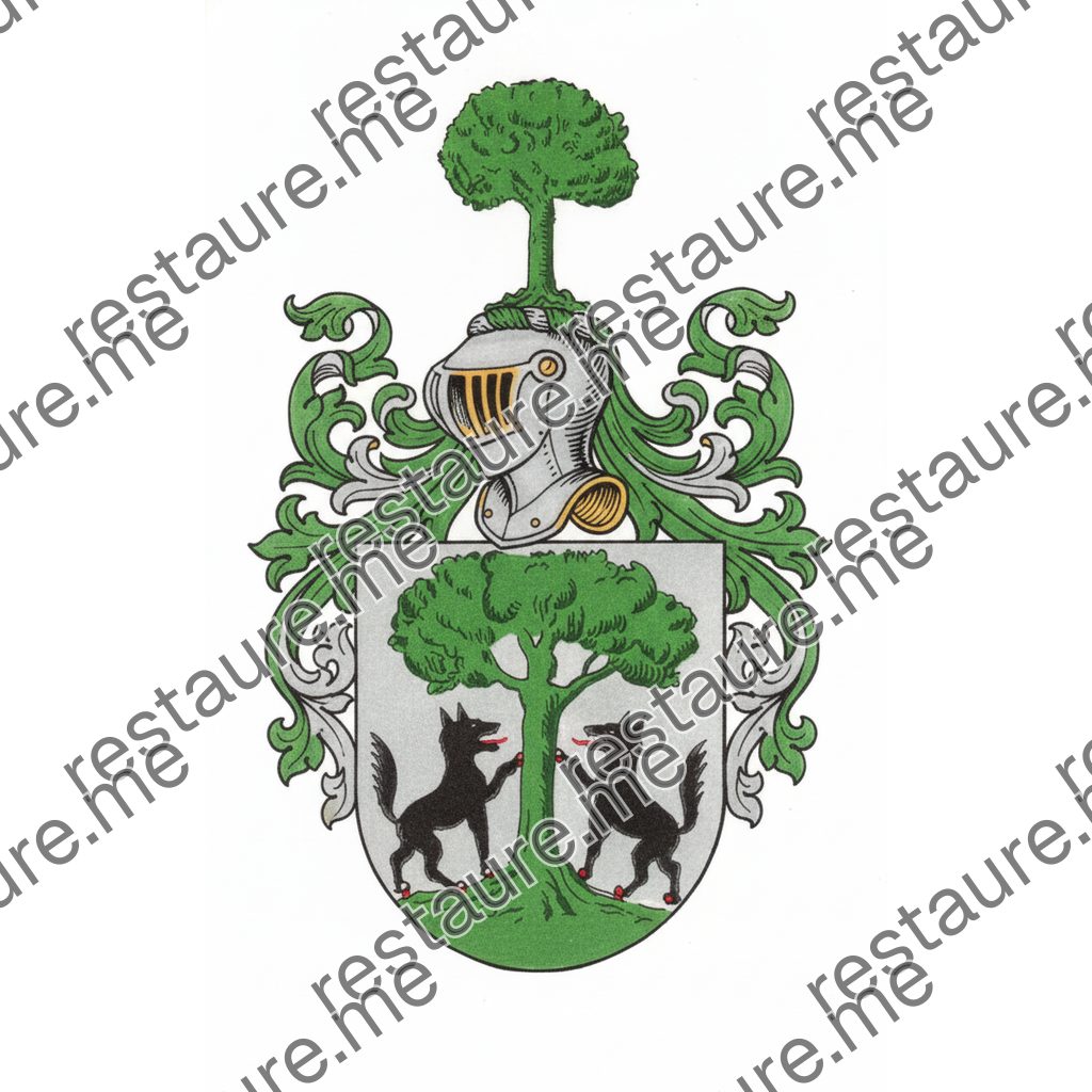 Brasão da família BISCAINHO