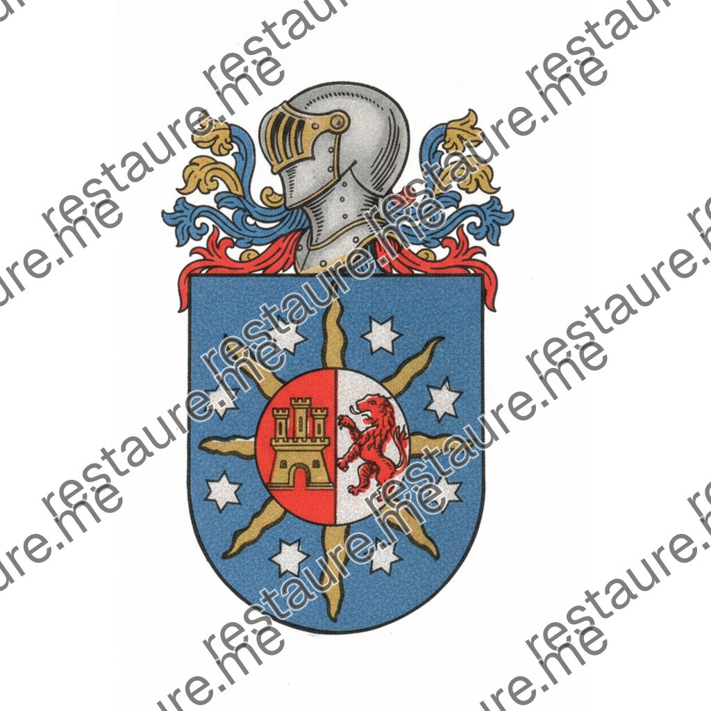 Brasão da família BILCHES
