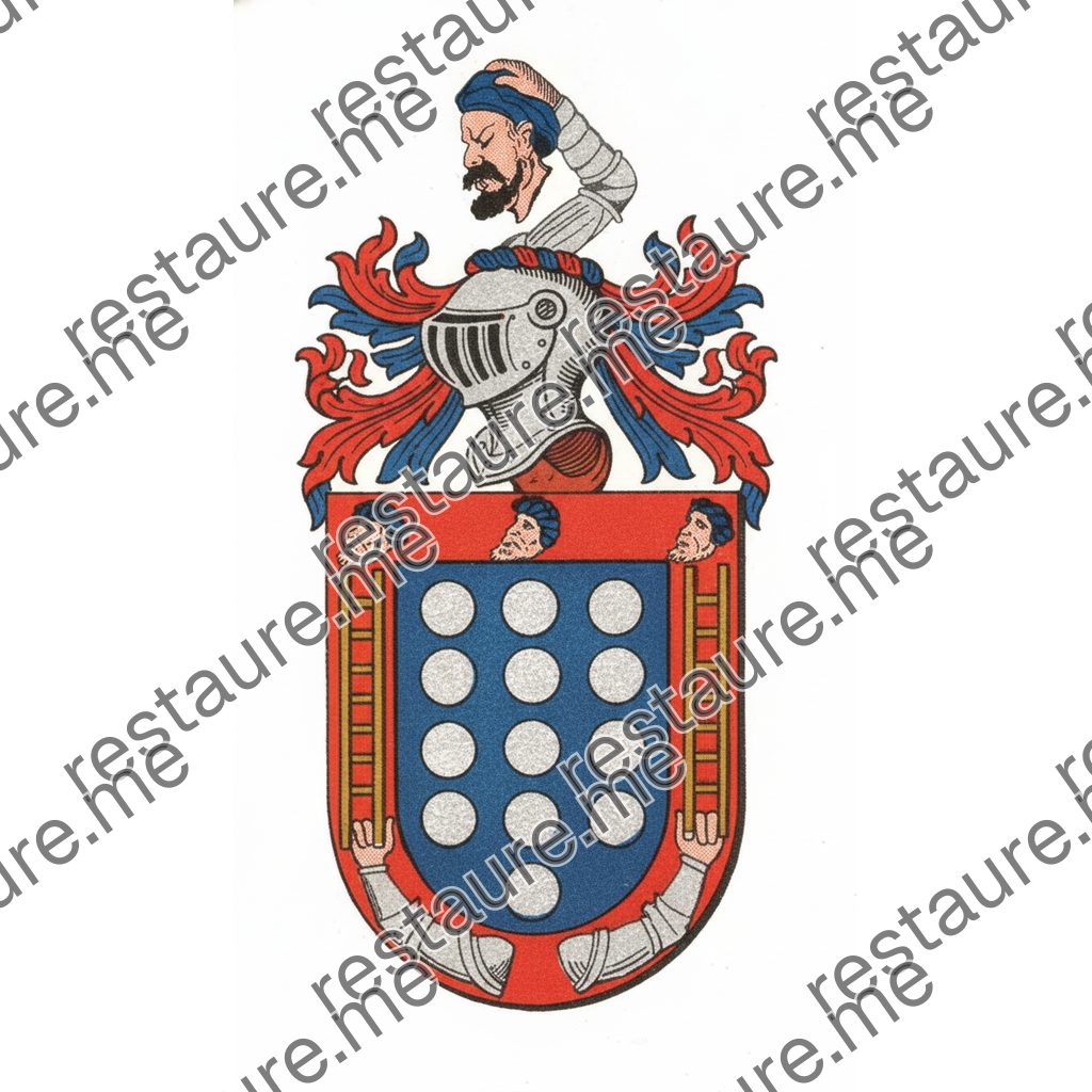 Brasão da família CABEÇA